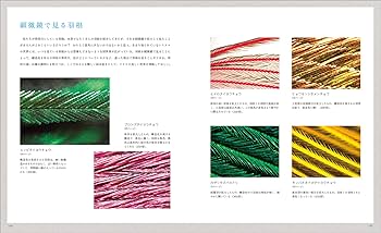 世界の美しき鳥の羽根 第2版: 鳥たちが成し遂げてきた進化が見える